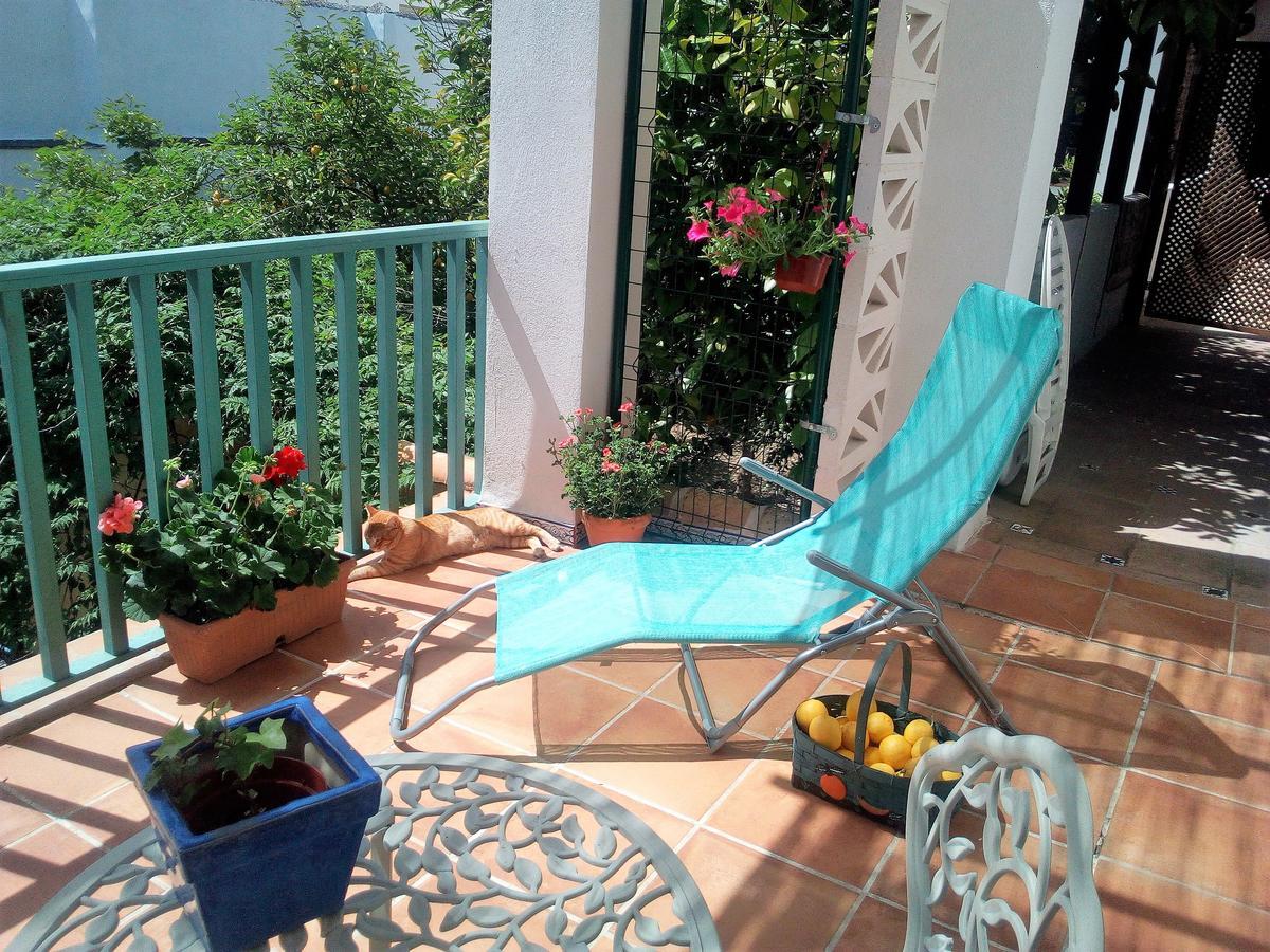 Patio Del Limonero Apartamento Córdova Exterior foto